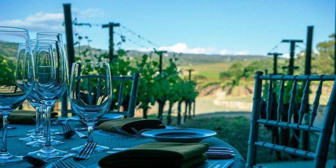 ACB sugere programa de Enoturismo entre Cávado e Ave